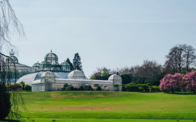 Question orale à Caroline Désir concernant « l’ouverture du Parc Royal de Laeken aux écoles »