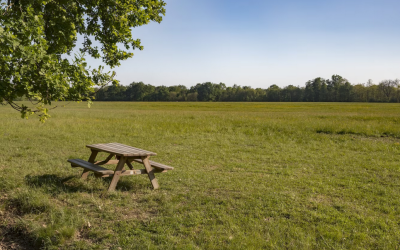 Question écrite à Françoise Bertieaux concernant « la pénurie de lieux de camps : bilan de l’été »